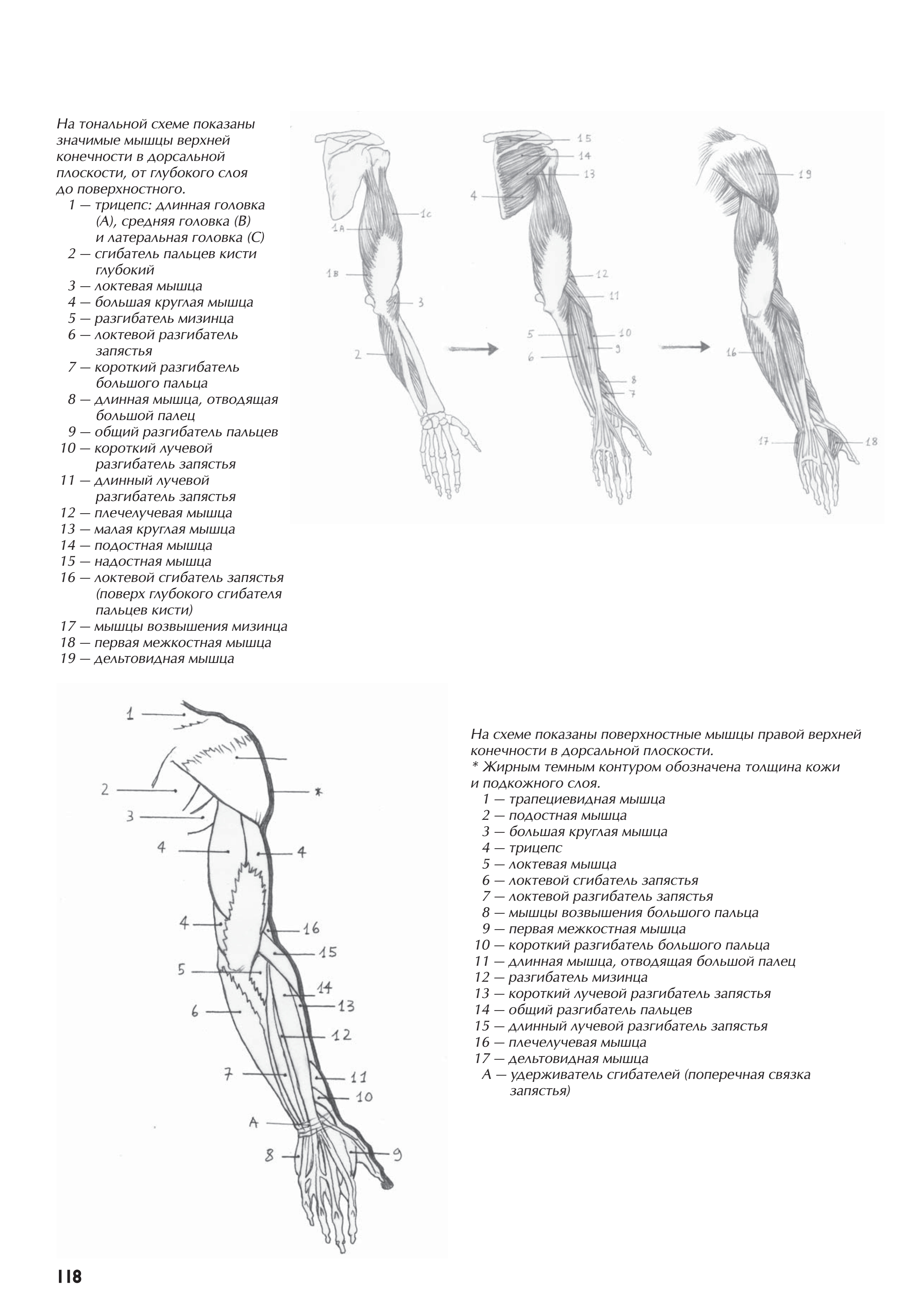 آموزش نقاشی طراحی سیاه قلم شهرری